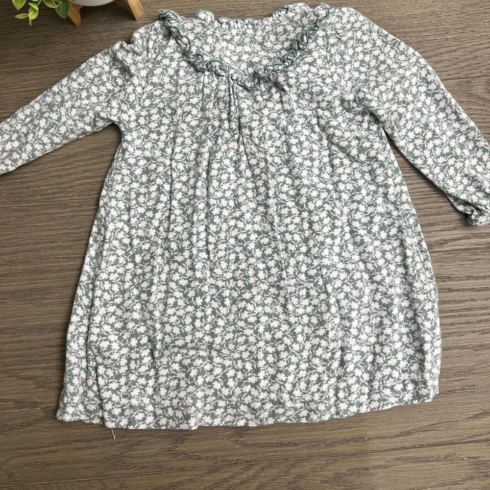 babyGap 2T Winter Floral Prairie dress
